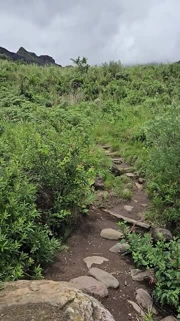 Gorge trail
