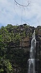 De Bog Swinb in Graskop Gorge