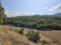 Tussen El Kef en Dougga