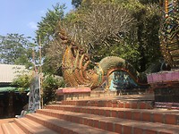 Tempel Dot Setup