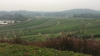Tuinen “ Singha park