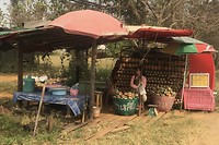 Ananas tijd. Worden langs de weg in grote hoeveelheden aangeboden