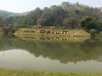 Opium museum