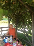 Onder de druivenranken eten