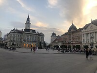 Plein in novo sad