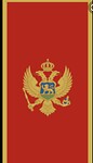 Vlag van Montenegro