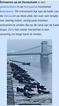 Schoenen op de puber van de donau