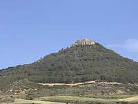 IMG_2197
