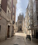 IMG_2226
