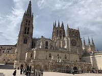 IMG_2223