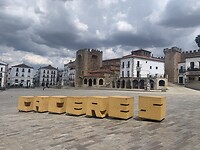IMG_2294