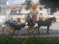 IMG_2348
