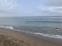 IMG_2420