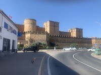 IMG_2445