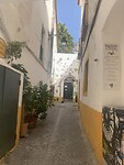IMG_2500