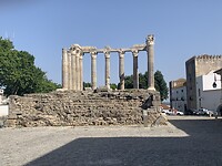 IMG_2492