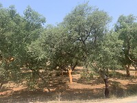 IMG_2484
