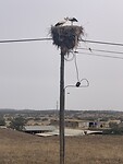 IMG_2471