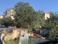 IMG_2513