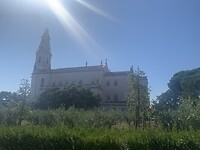IMG_2533