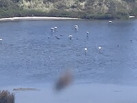 IMG_2549