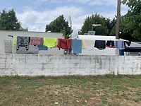 IMG_2629