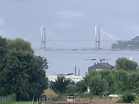 IMG_2590