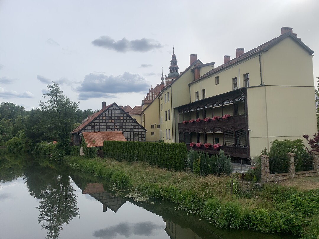 IMG_4584