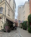 IMG_4626