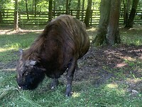 IMG_4755