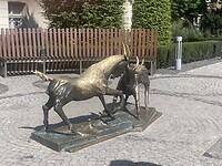 IMG_4815
