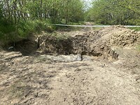 IMG_1604