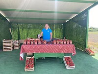 IMG_1619