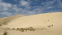 IMG_20190201_131721