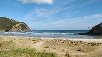 IMG_20190202_093902