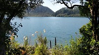 IMG_20190206_103348