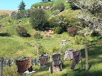 IMG_20190205_091547