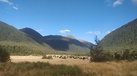 IMG_20190215_182845