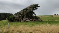 IMG_20190221_161357