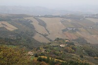 IMG_9001