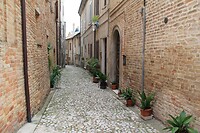 IMG_9021