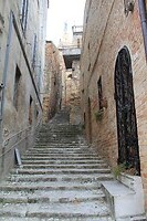 IMG_9033