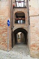 IMG_8972