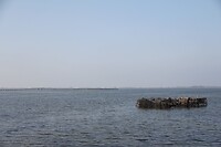 IMG_9082