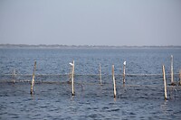 IMG_9085