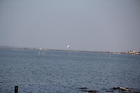 IMG_9089