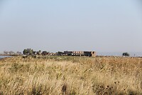 IMG_9090
