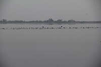 IMG_9106