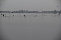 IMG_9103