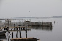 IMG_9108